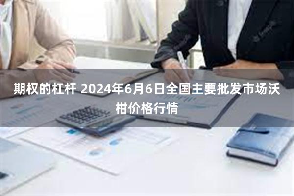 期权的杠杆 2024年6月6日全国主要批发市场沃柑价格行情