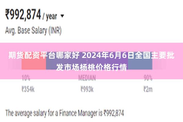 期货配资平台哪家好 2024年6月6日全国主要批发市场杨桃价格行情