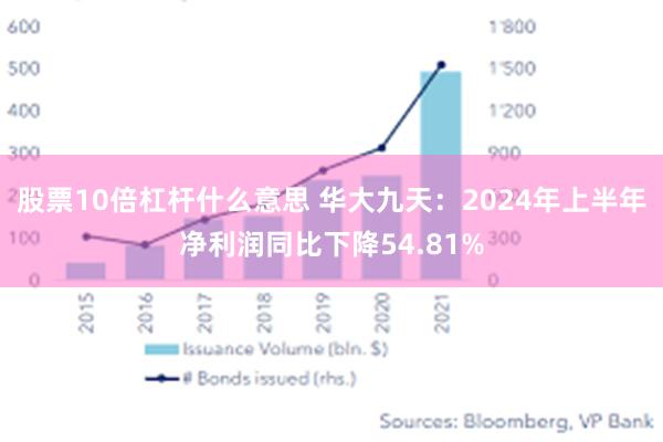 股票10倍杠杆什么意思 华大九天：2024年上半年净利润同比下降54.81%