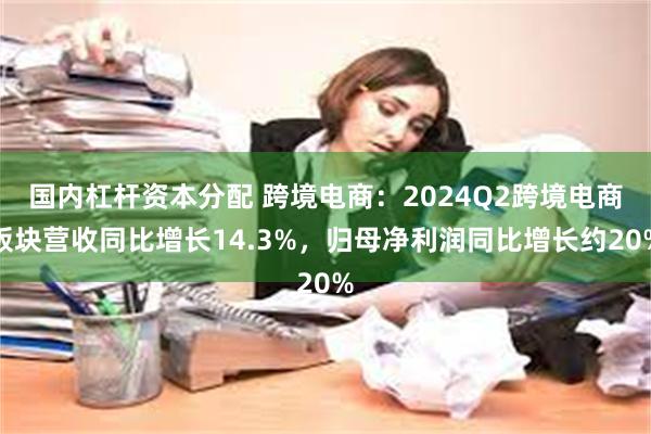 国内杠杆资本分配 跨境电商：2024Q2跨境电商板块营收同比增长14.3%，归母净利润同比增长约20%