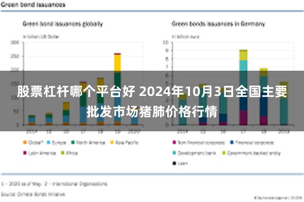 股票杠杆哪个平台好 2024年10月3日全国主要批发市场猪肺价格行情