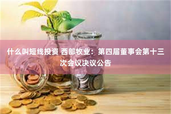 什么叫短线投资 西部牧业：第四届董事会第十三次会议决议公告