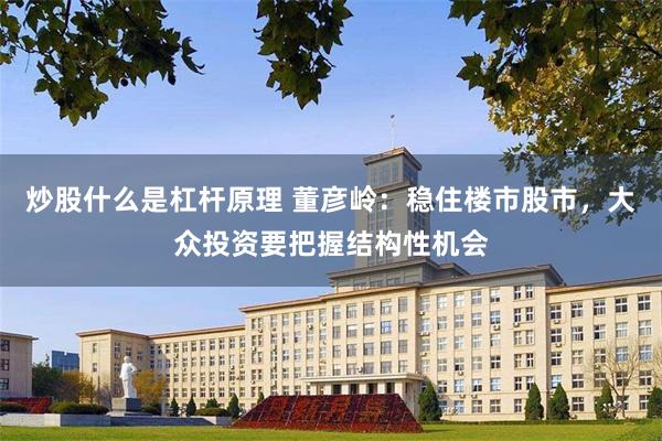 炒股什么是杠杆原理 董彦岭：稳住楼市股市，大众投资要把握结构性机会