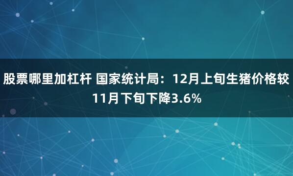 股票哪里加杠杆 国家统计局：12月上旬生猪价格较11月下旬下降3.6%